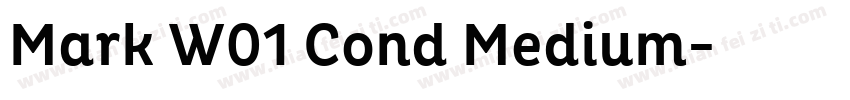 Mark W01 Cond Medium字体转换